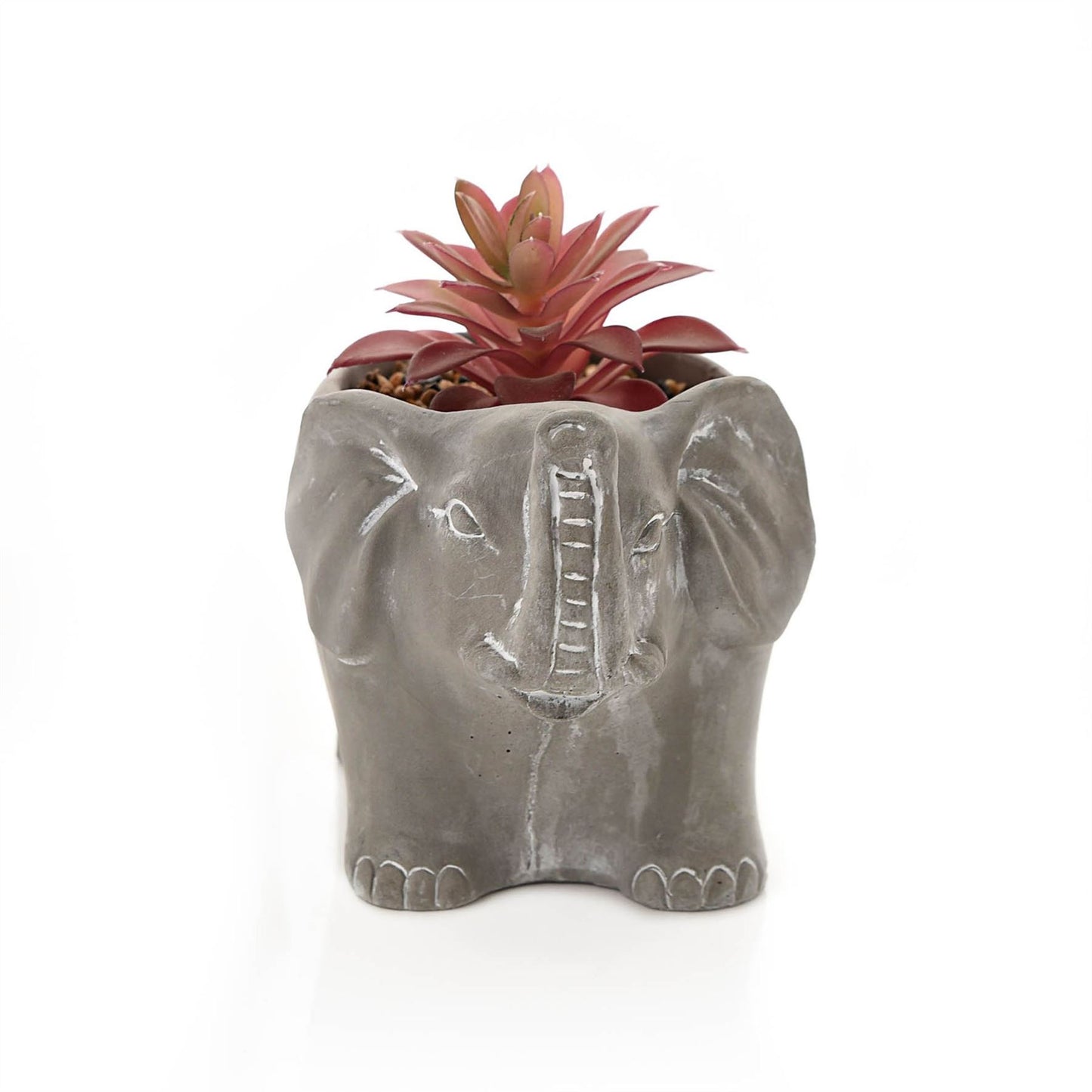 Cement Effect Elephant Planter with Succulent