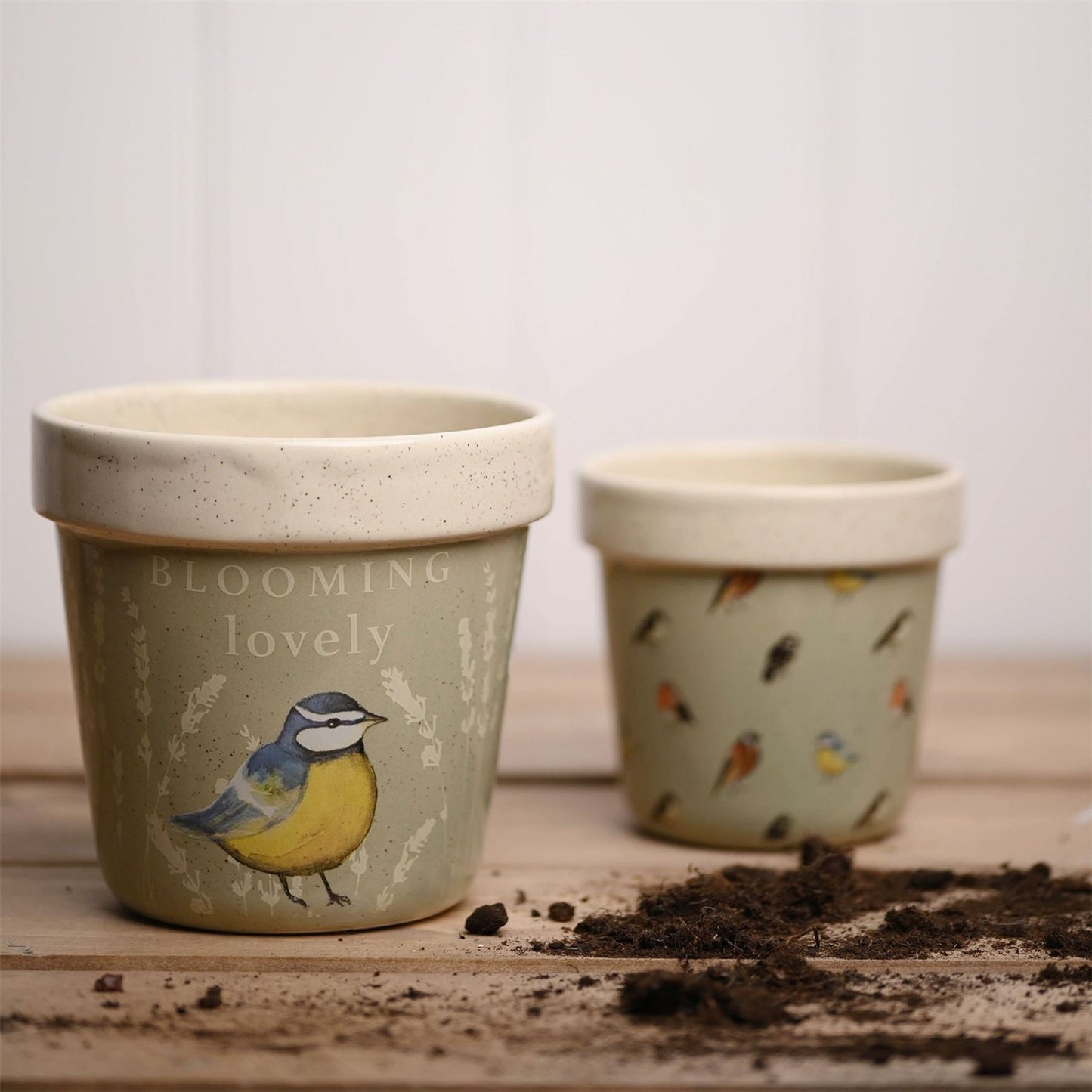 Country Living Set of 2 Planters - Garden Birds