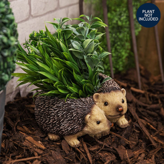 Naturecraft Collection - Two Hedgehog Planter