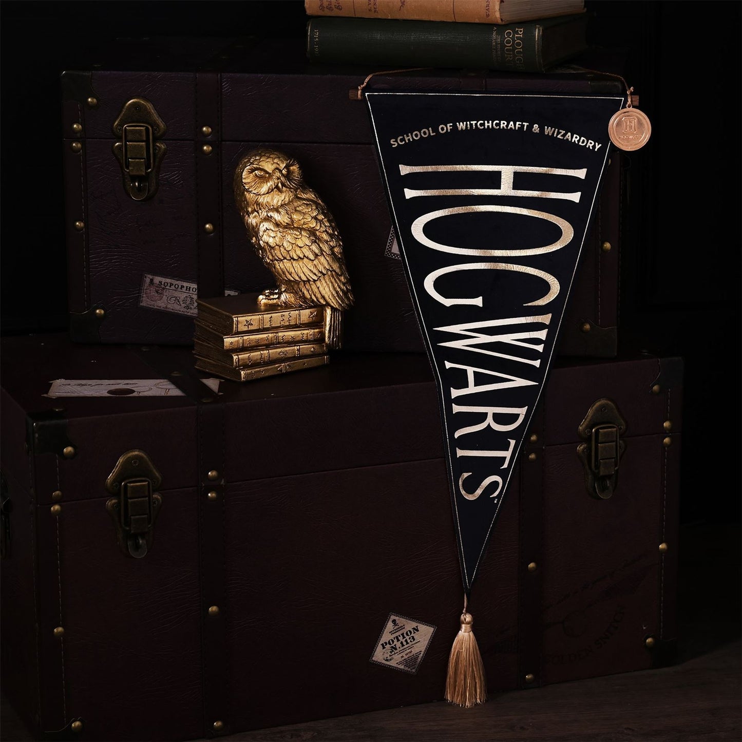 Warner Bros Harry Potter Alumni Hanging Banner Hogwarts