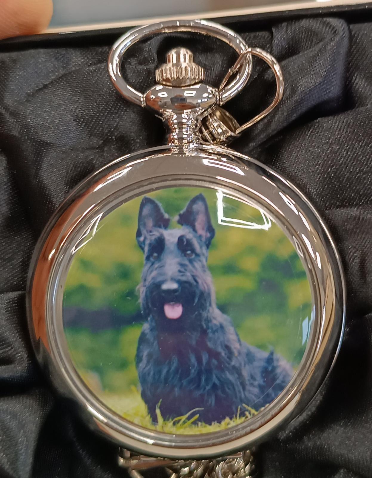 Boxx Picture Pocket watch P5061 Available Multiple Pictures