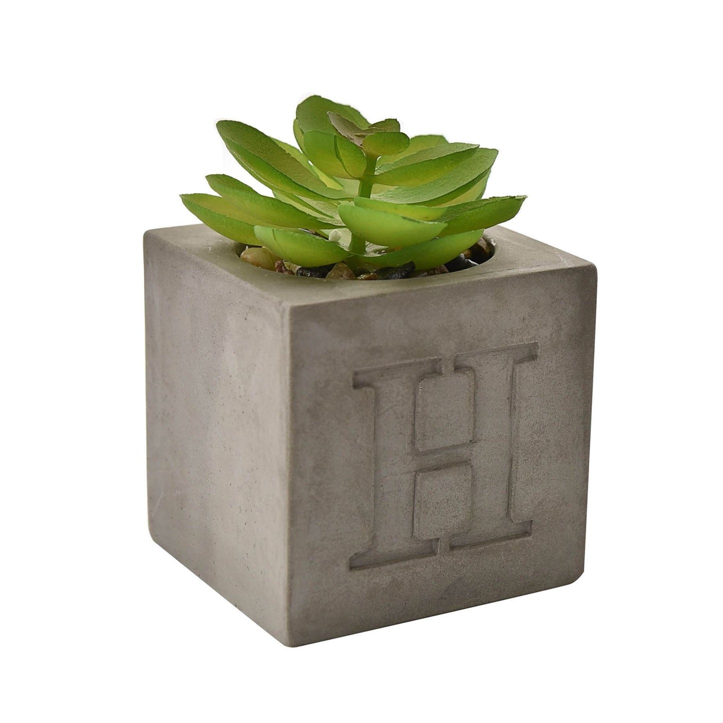 Hestia Set of 4 Faux Plants in a Cement Pot "Home " 6 x 6 cms