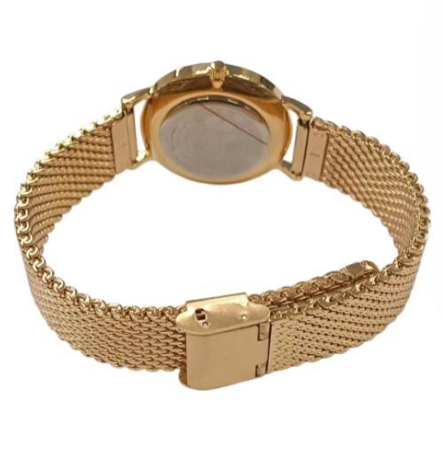 Limit Ladies Fashion Gold Plated Dial with Gold Plated Mesh Bracelet Strap Watch 60113