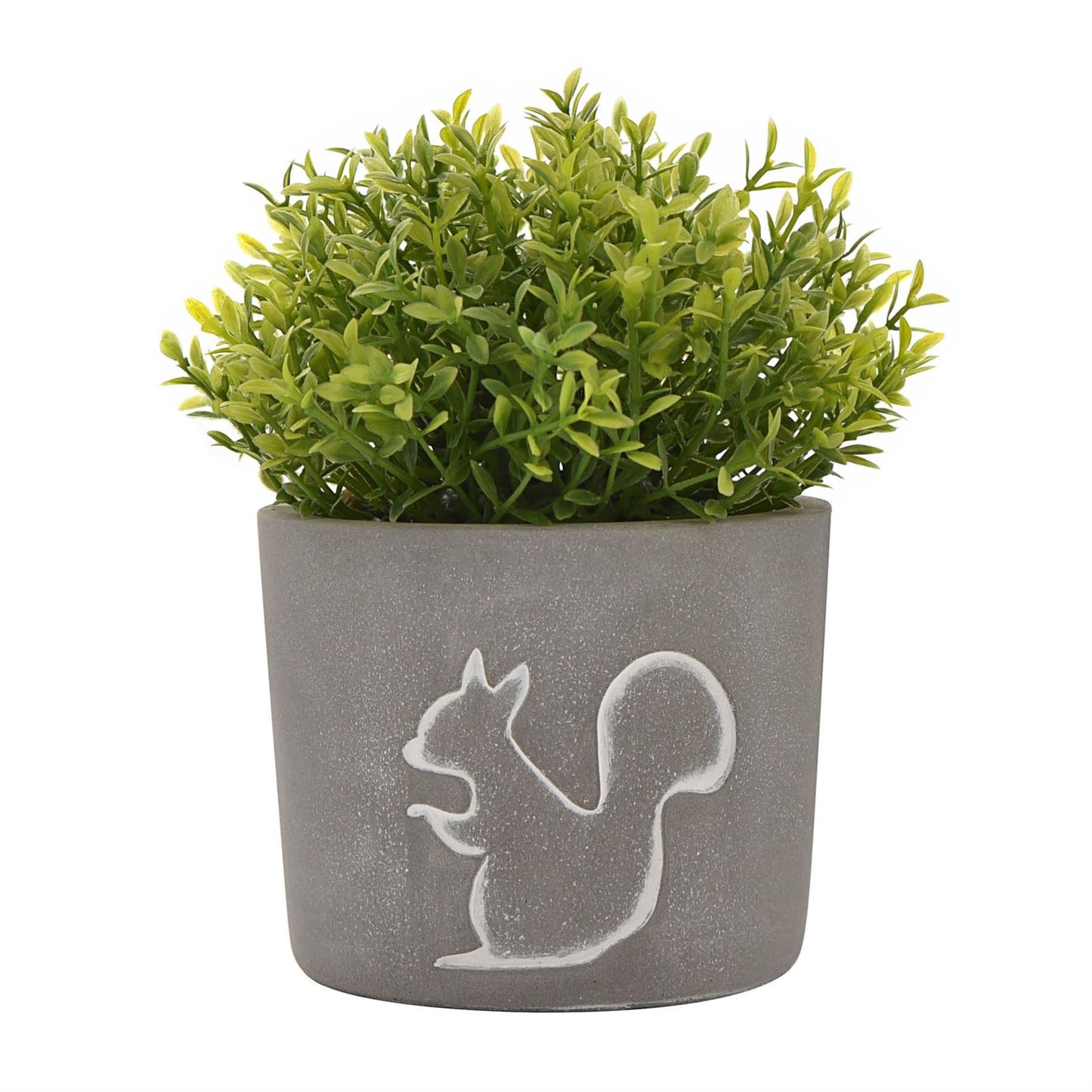 Hestia Squirrel Silhouette Planter with Plant 10cm Diameter