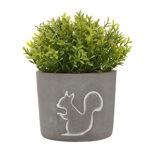 Hestia Squirrel Silhouette Planter with Plant 10cm Diameter