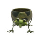 Country Living Ceramic Frog Planter *(8/12)*