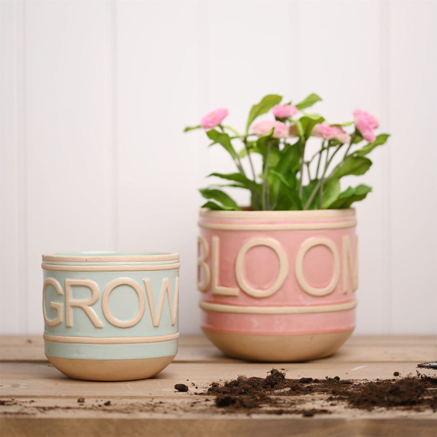 Country Living Set of 2 Ceramic Planters Bloom & Grow