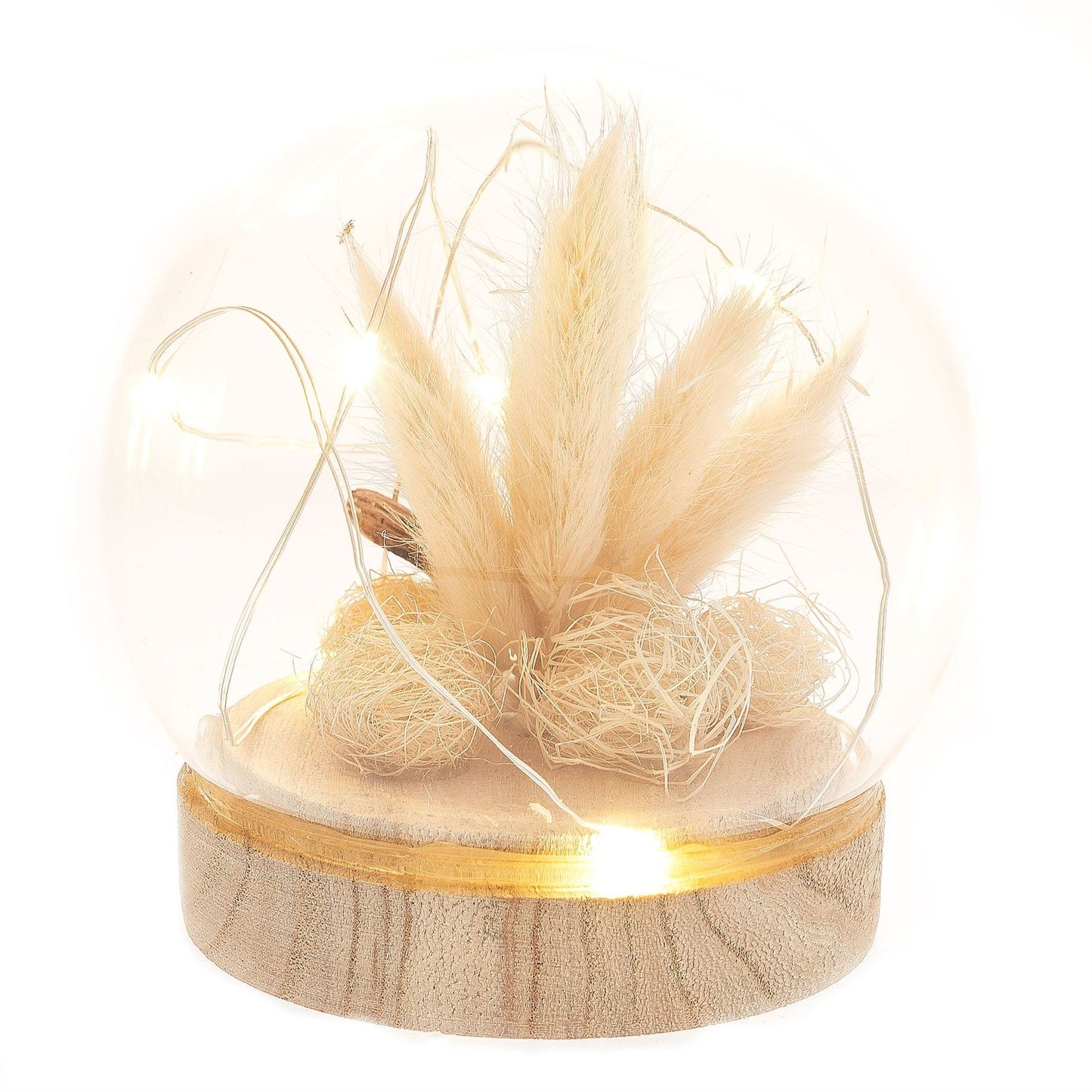 Hestia Bird with Pampas Grass with LED Lights Ornament 10cm