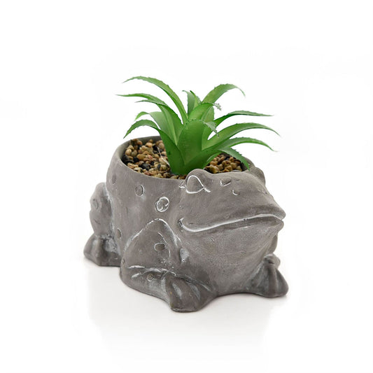 Large Cement Effect Frog Planter with Succulent