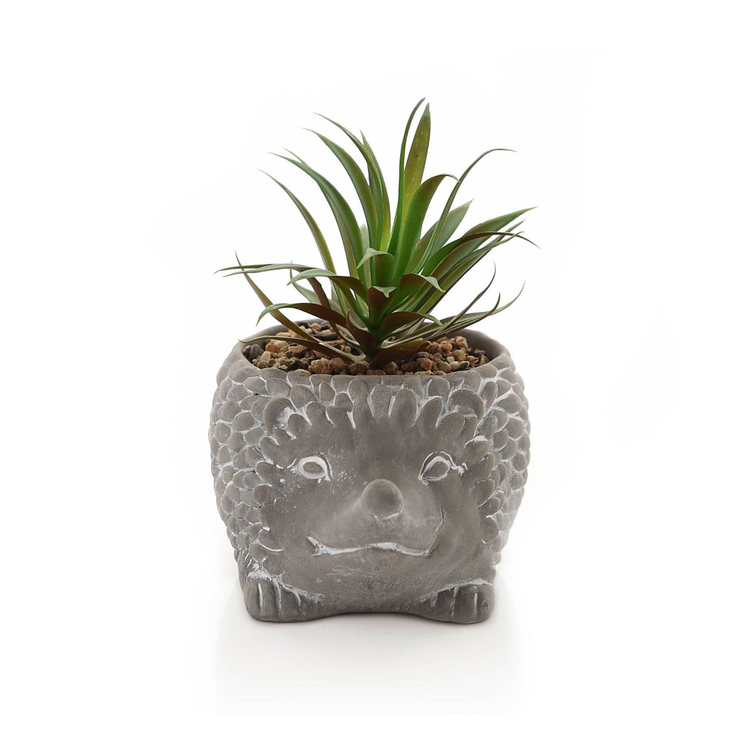 Cement Effect Hedgehog Planter with Succulent