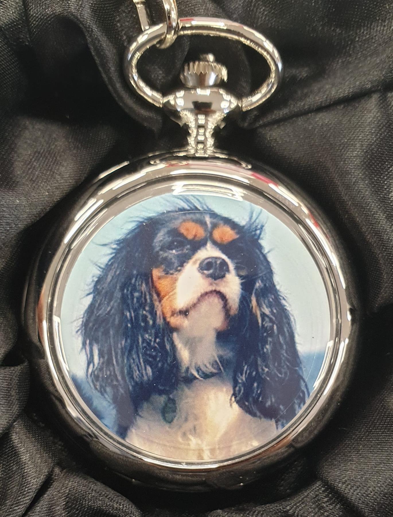 Boxx Picture Pocket watch P5061 Available Multiple Pictures