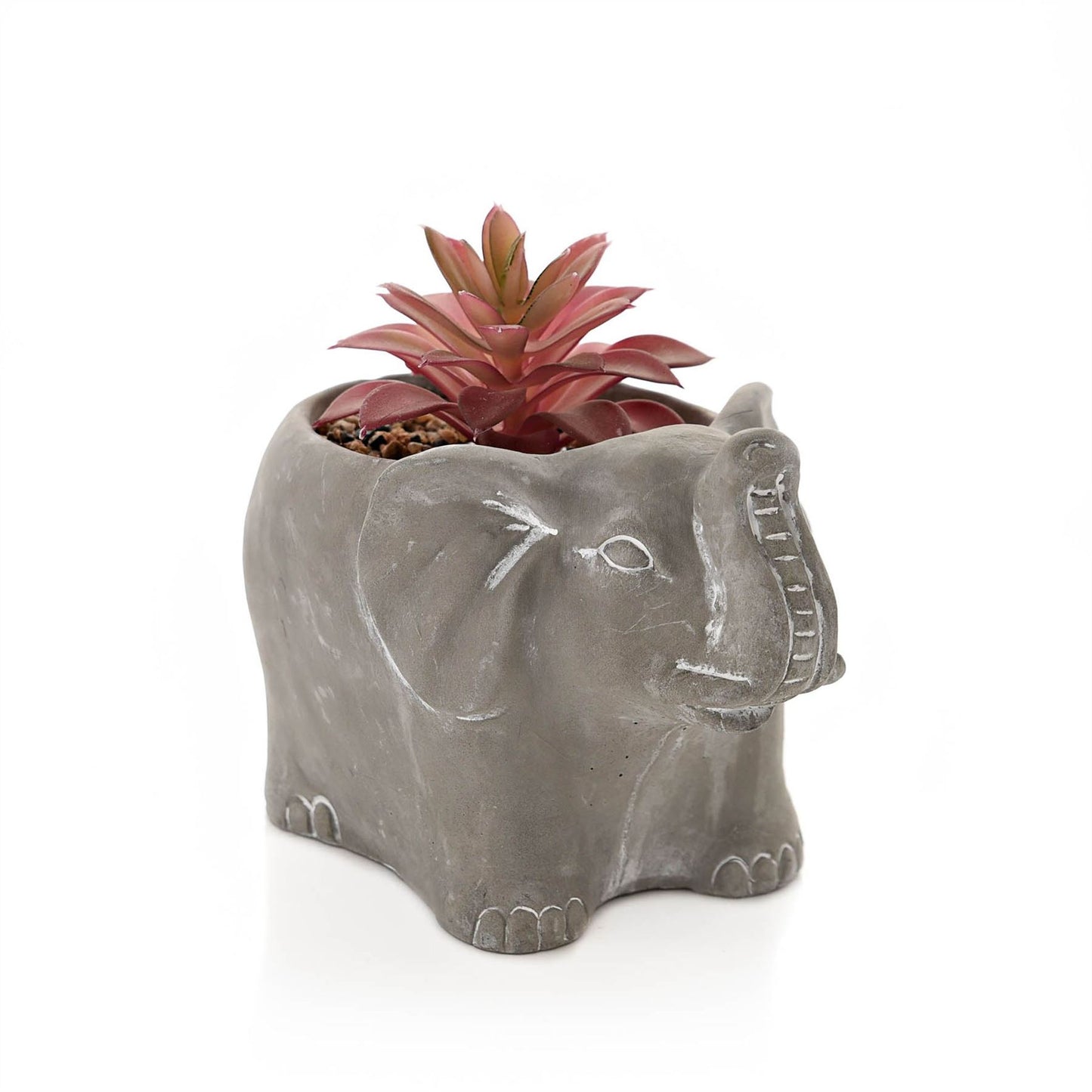 Cement Effect Elephant Planter with Succulent