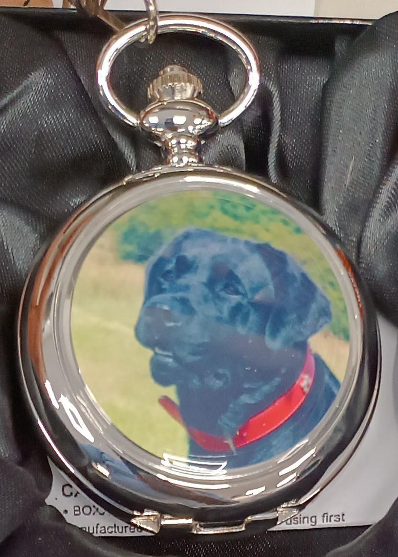 Boxx Picture Pocket watch P5061 Available Multiple Pictures