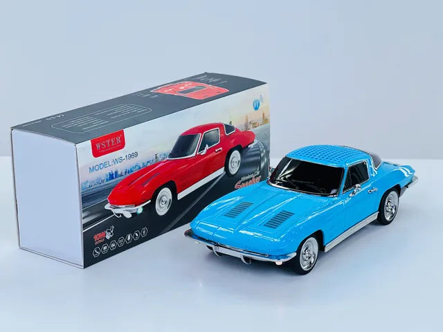 WSTER Wireless Bluetooth Car Speaker with TF/USB/FM - 1969