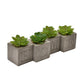 Hestia Set of 4 Faux Plants in a Cement Pot "Home " 6 x 6 cms