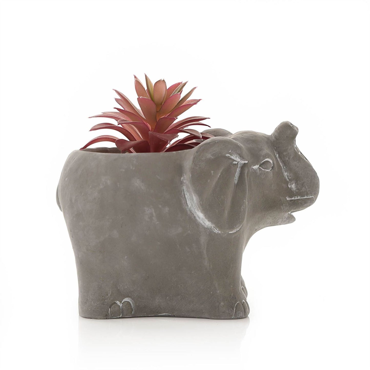 Cement Effect Elephant Planter with Succulent