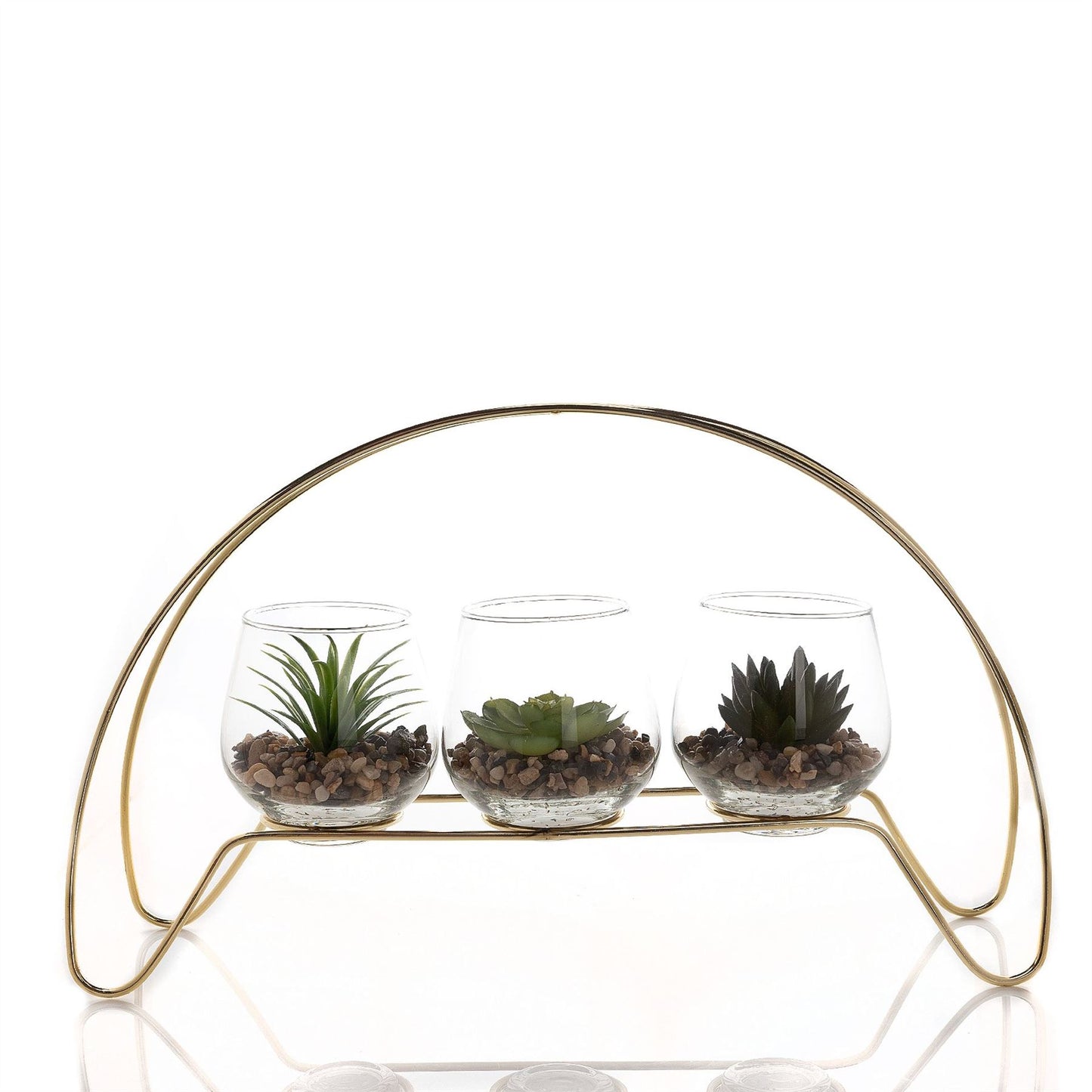 Hestia Trio Succulent in Gold Hoop Frame