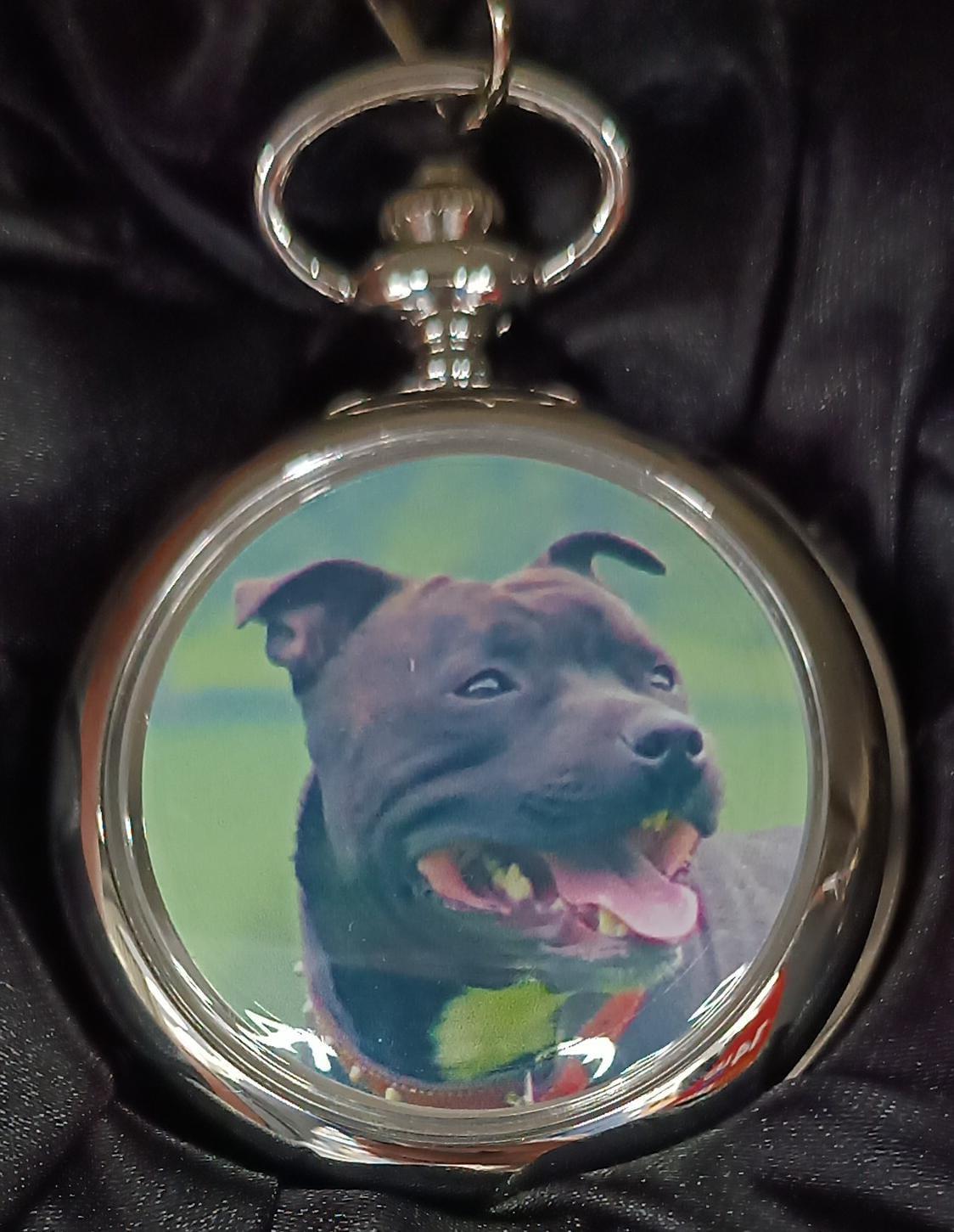 Boxx Picture Pocket watch P5061 Available Multiple Pictures