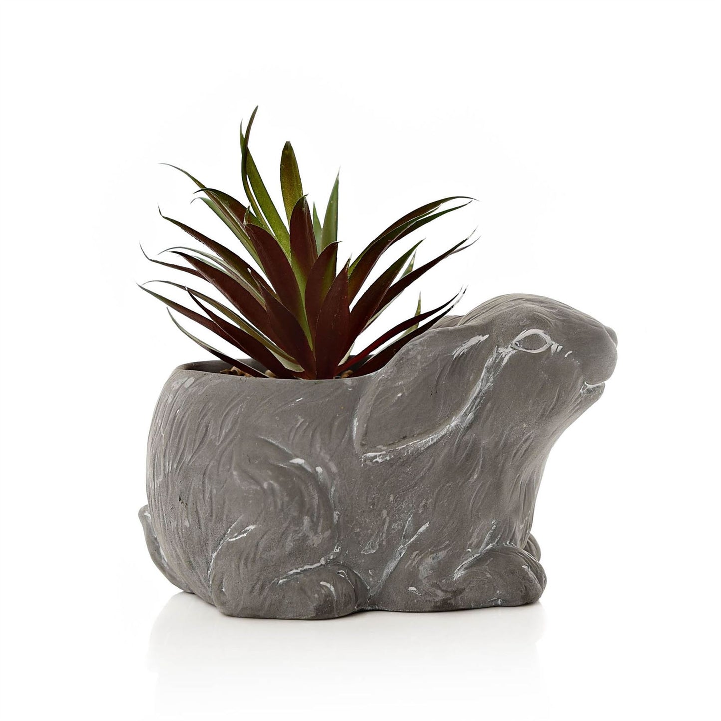 Large Cement Effect Rabbit Planter with Succulent