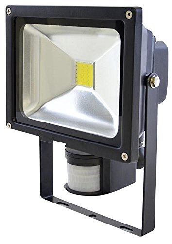 20w LED Flood Light with PIR