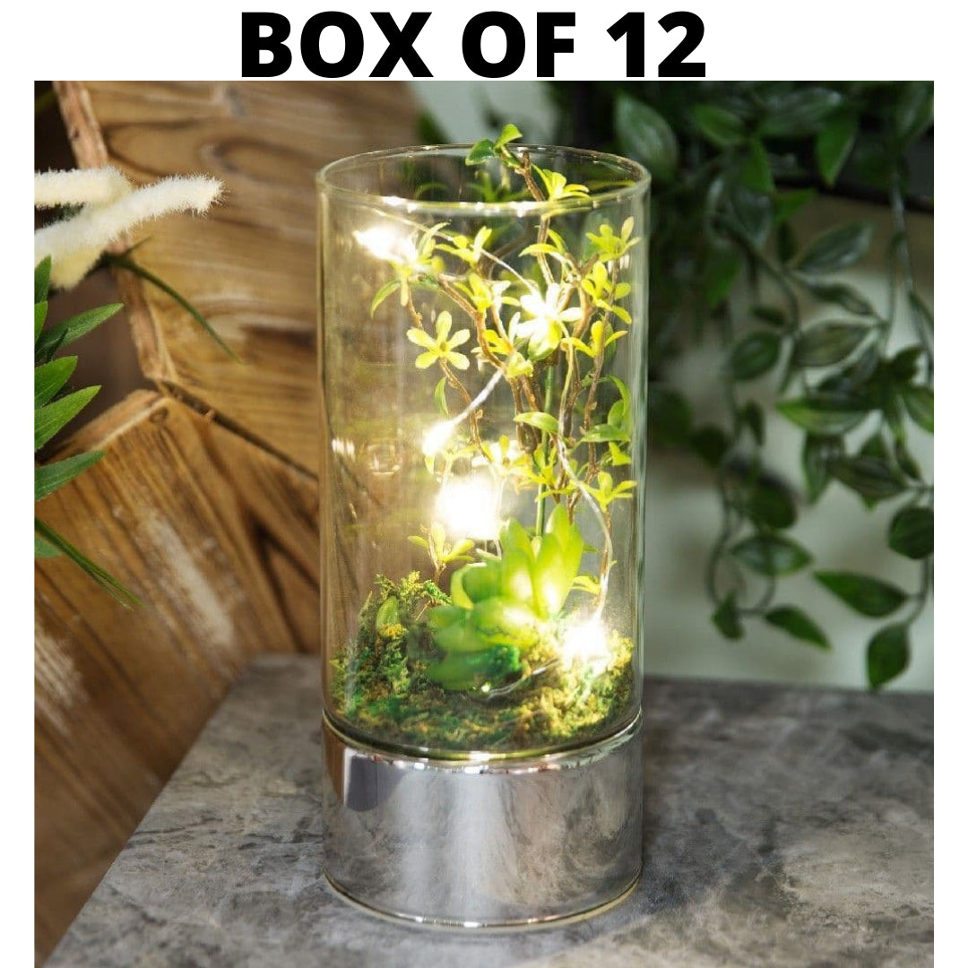 HESTIA GLASS TUBE TERRARIUM - ARTIFICIAL SUCCULENTS AND LEDS 20CM