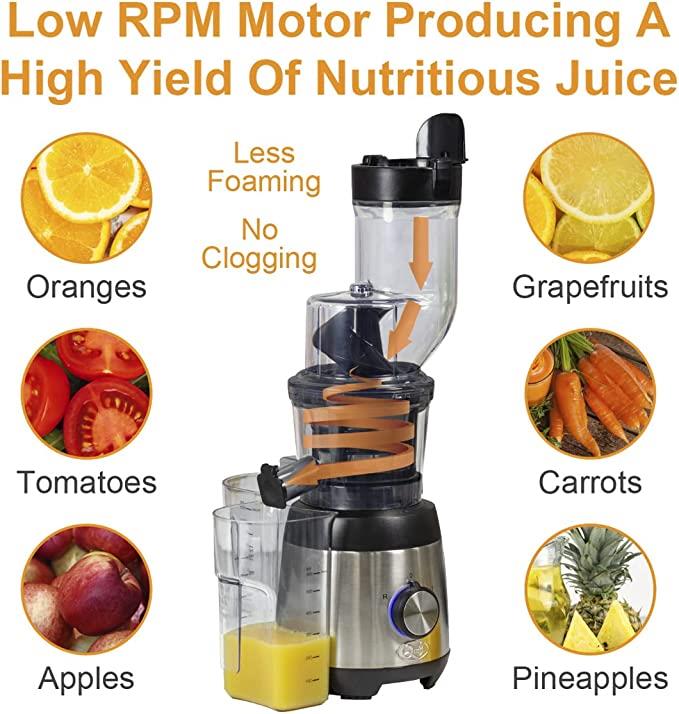 Quest Slow Masticating Juicer 300W (Carton of 1)