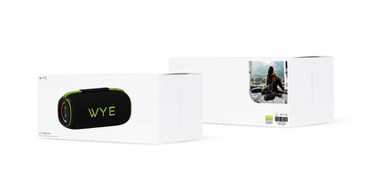 Wye 60W High Fidelity Wireless Speaker