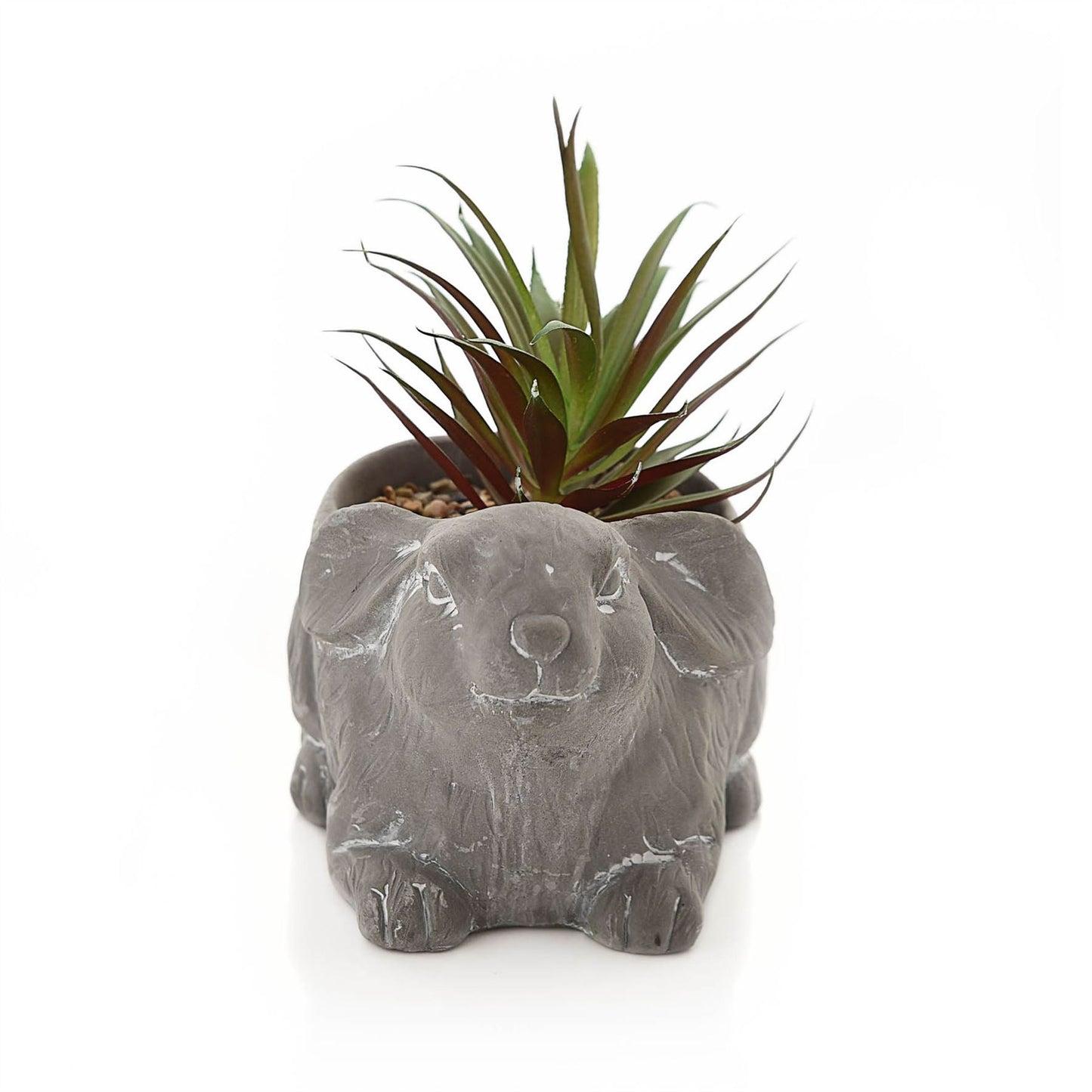 Large Cement Effect Rabbit Planter with Succulent