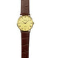 Pelex Mens Roman Number Gold Case Dial Brown Leather Strap Quartz Watch PLX-056 M832A