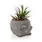 Cement Effect Hedgehog Planter with Succulent