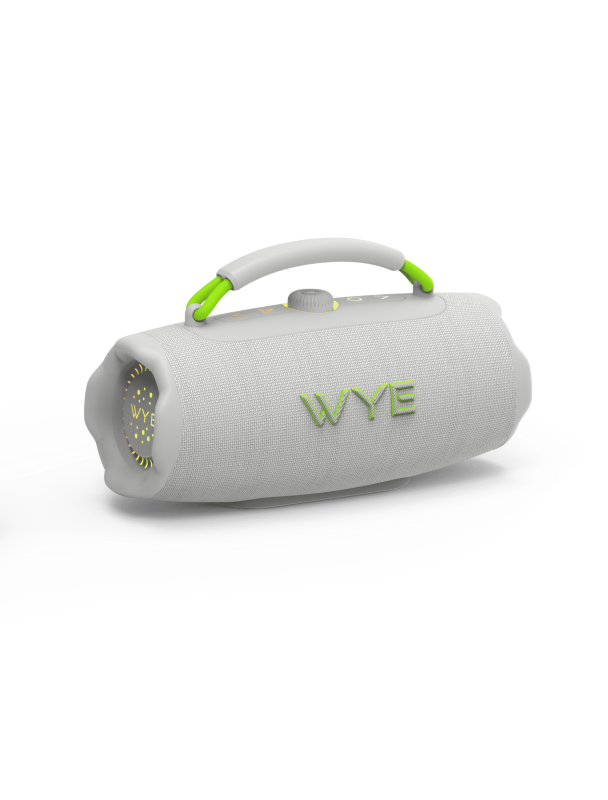 WyeWave40W High Fidelity Wireless Speaker