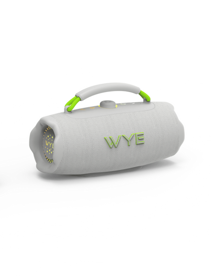 WyeWave40W High Fidelity Wireless Speaker
