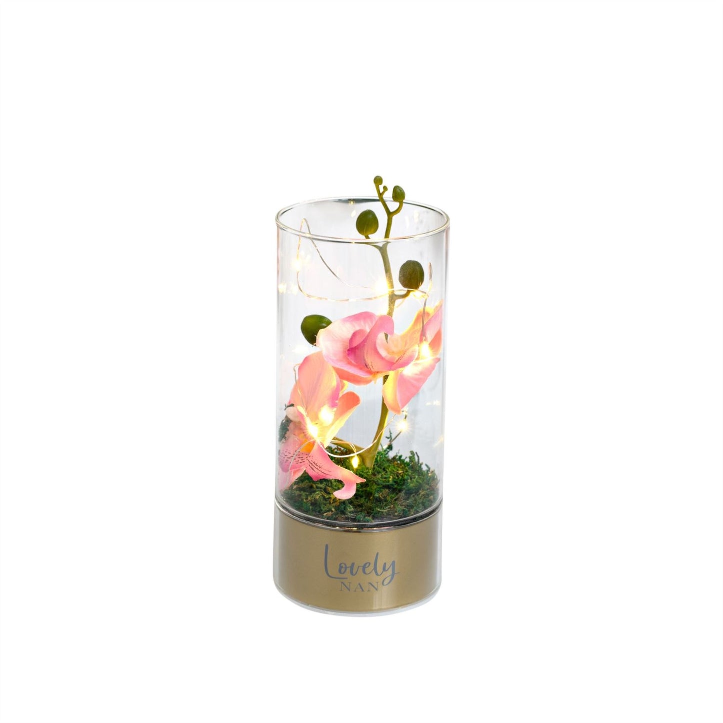 Peaches & Cream Tube Orchid Flowers & LED Light - Nan