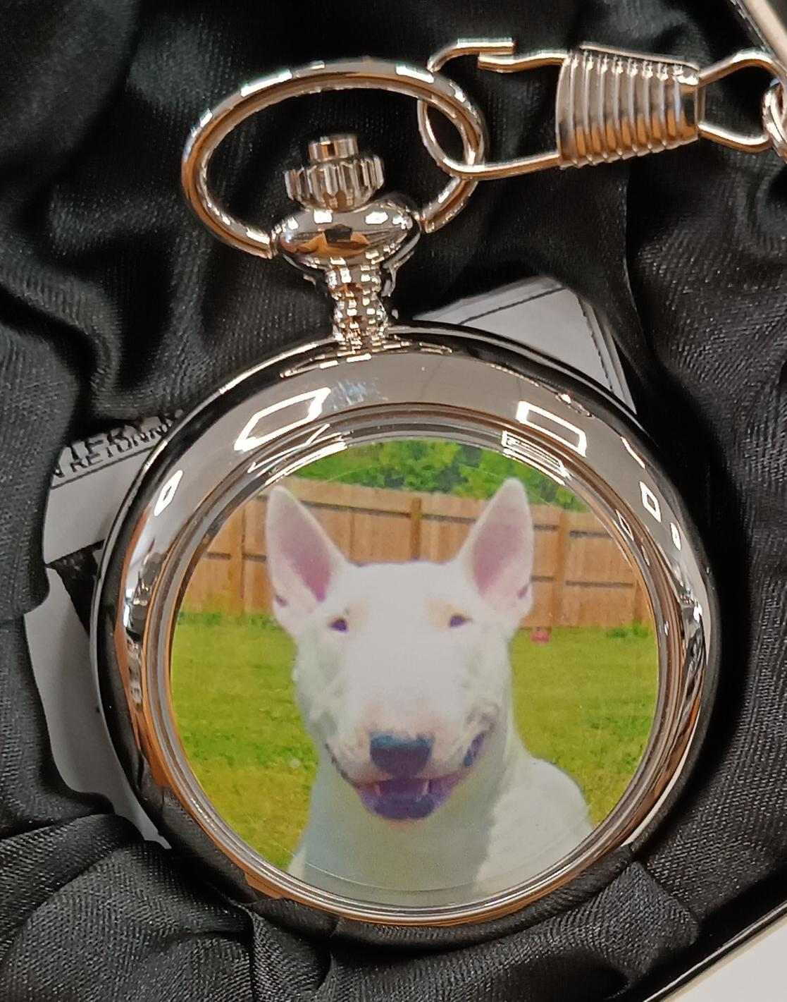 Boxx Picture Pocket watch Dog  P5061.116