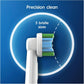 Oral-B Pro Battery Toothbrush