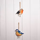 Country Living Set of 2 Bird Plaques - Robin & Blue Tit