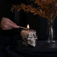 Smoked Glass Skull Candle with Haunted House Fragrance