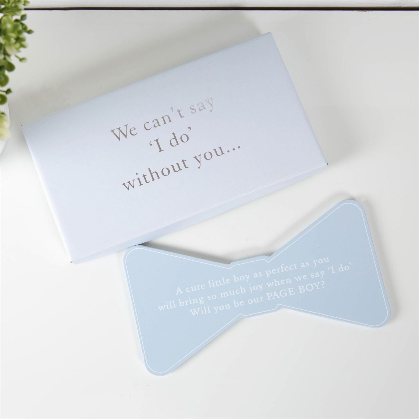 Amore Bow Tie Plaque "Will You Be Page Boy?"