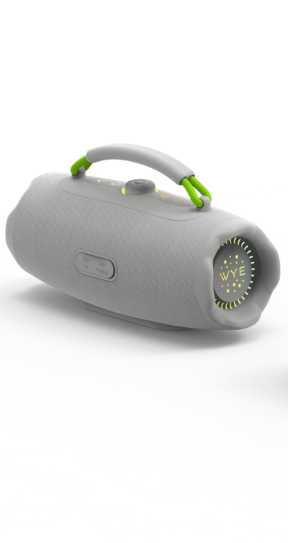 WyeWave40W High Fidelity Wireless Speaker