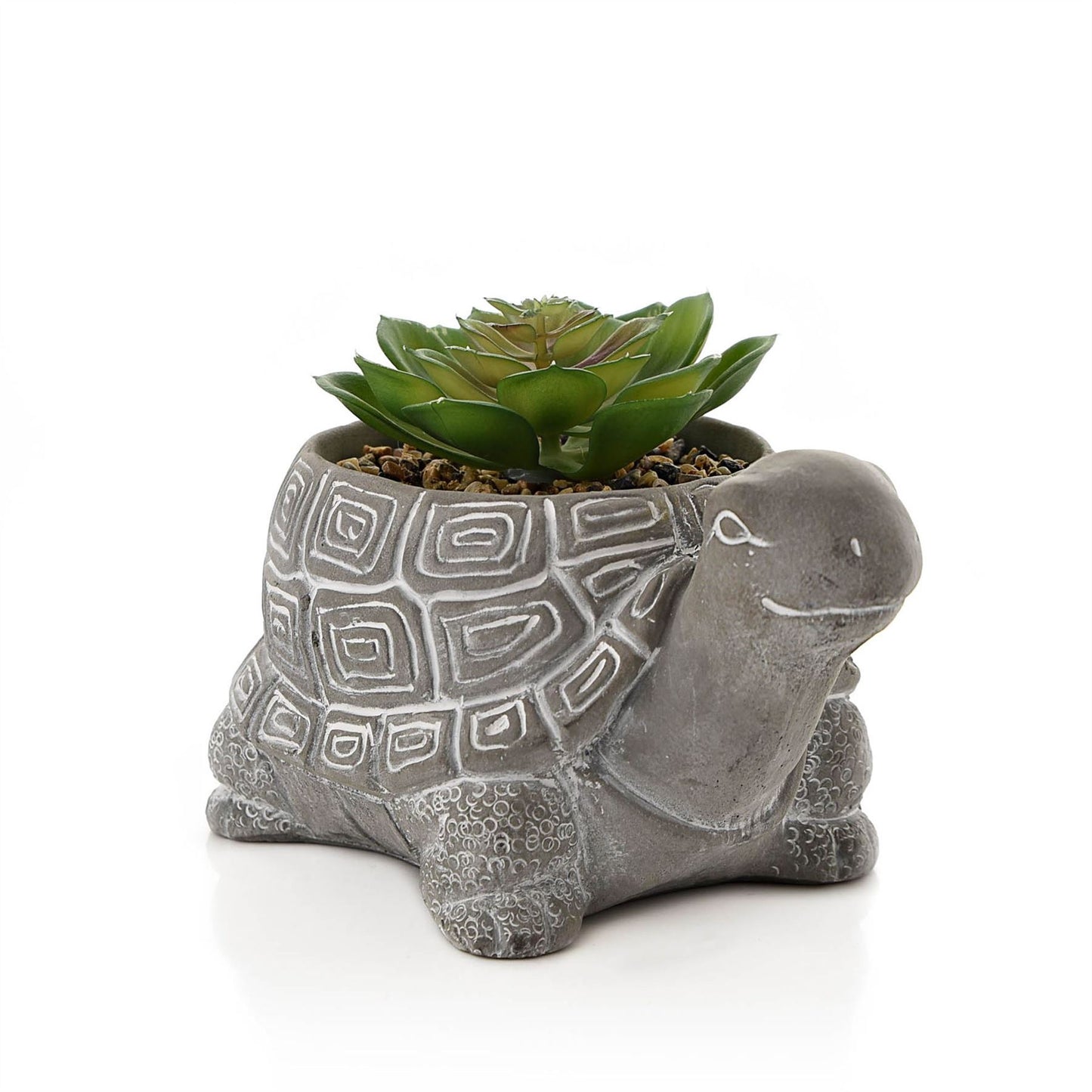 Cement Effect Tortoise Planter with Succulent