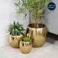 Hestia Set of 3 Gold Finish Metal Planters