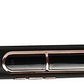 Telford Professional Hair Straightener With Argan infused gold ceramic plates