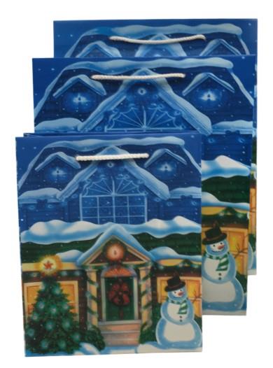 Christmas Snowman Gift Paper Plastic Bag With Rope Handles Reusable Non Woven Ideal For Any Gifts, Xmas Present set of 3