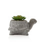 Cement Effect Tortoise Planter with Succulent