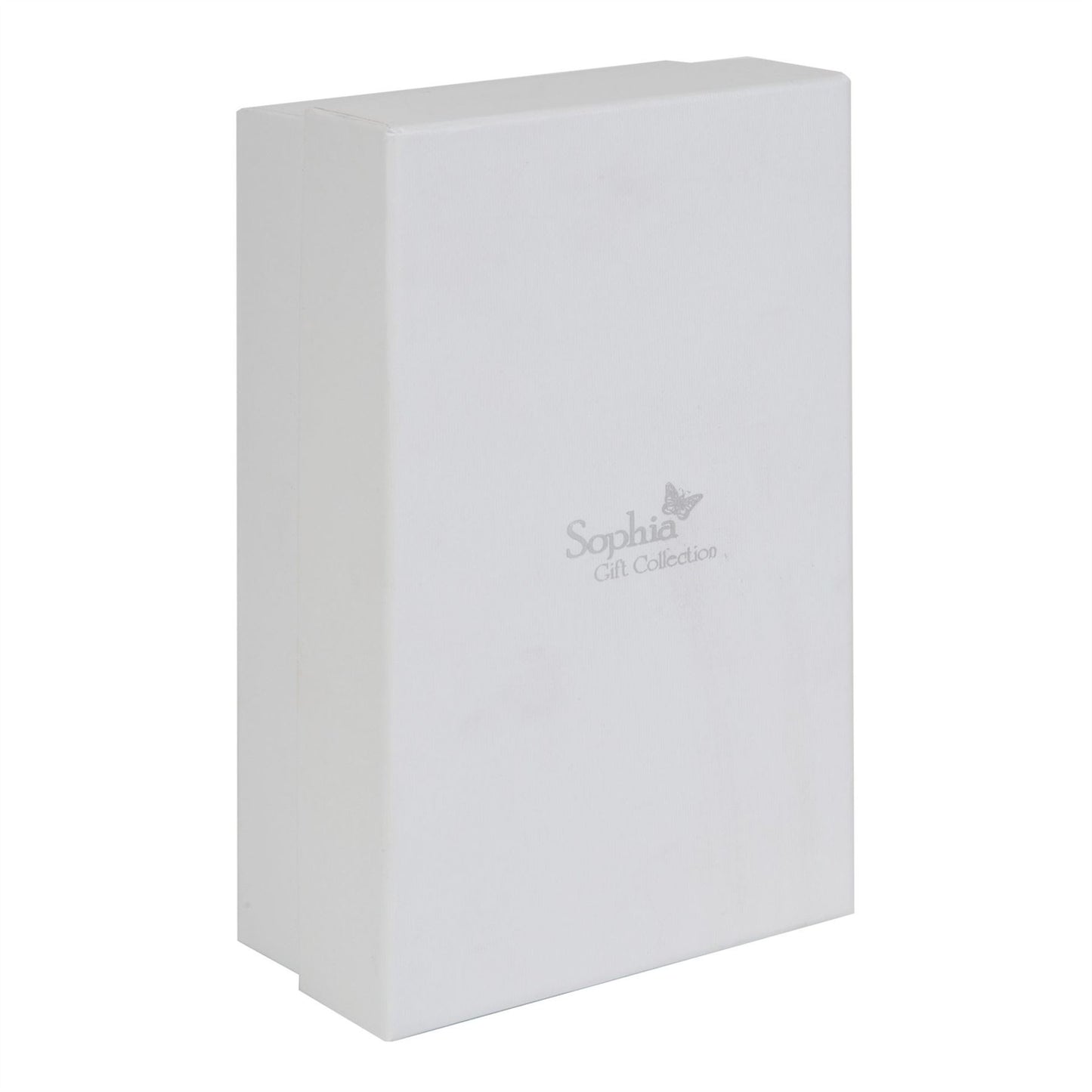 Sophia  G/Boxed & Pouch S/P Trinket Box Ant Fin Oblong/Feet