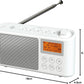 Spectrum i-box Portable DAB/DAB+/FM Radio with 5 Favourite Buttons