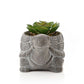 Cement Effect Tortoise Planter with Succulent