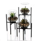 Hestia Set of 3 Glass Planters with Faux Succulent