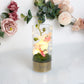 Peaches & Cream Tube Orchid Flowers & LED Light - Grandma