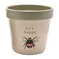 Country Living Set of 2 Planters - Bees